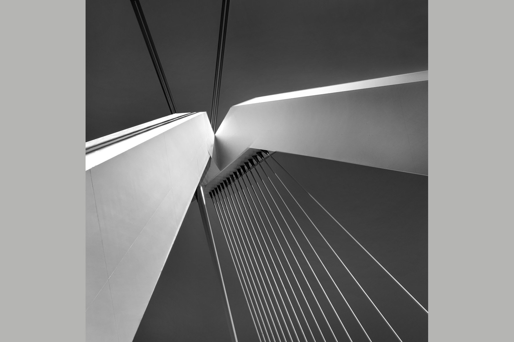 Rotterdam, Pylon Erasmus Bridge