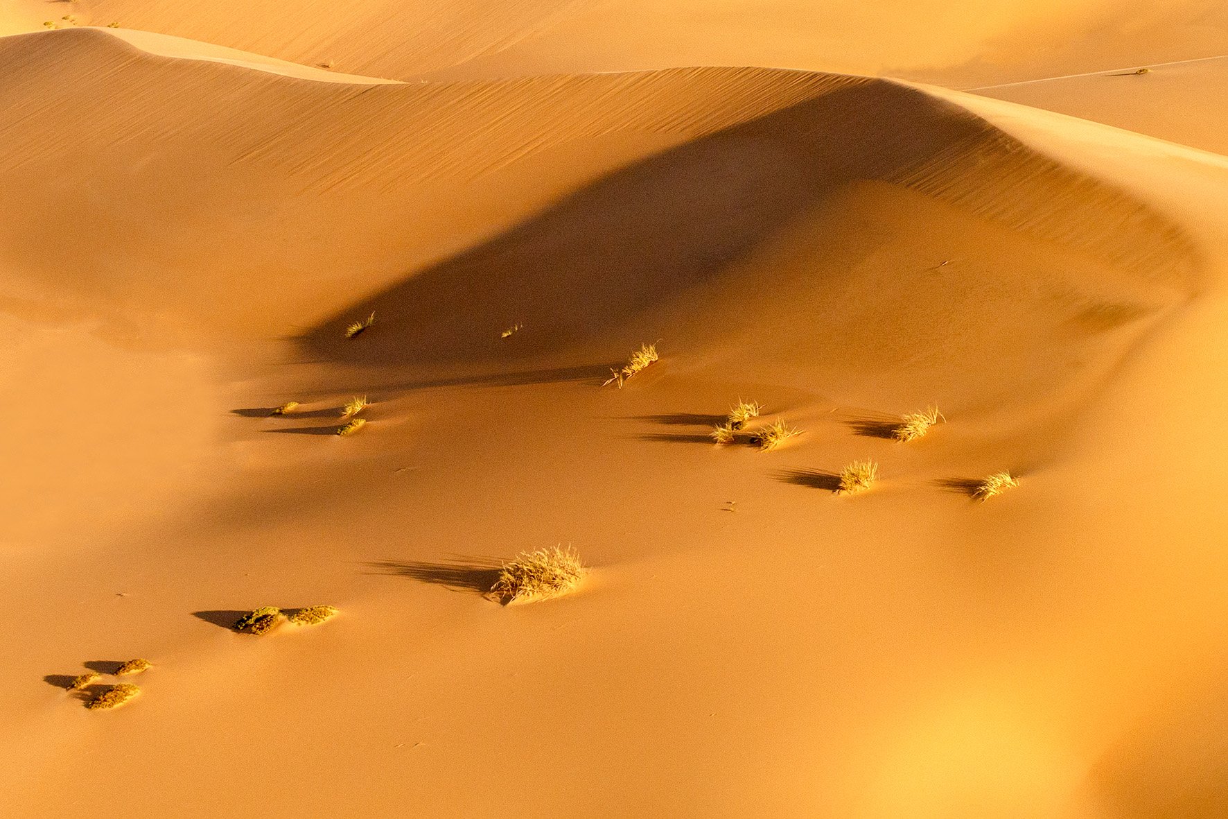 Namib Desert 2